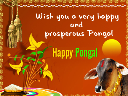 Bright&Colorful Pongal